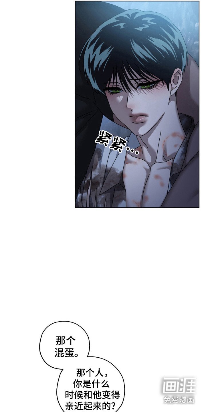第42章：伤口原因