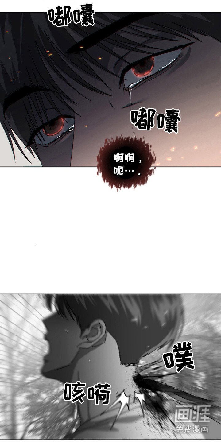 第44章：死亡警报