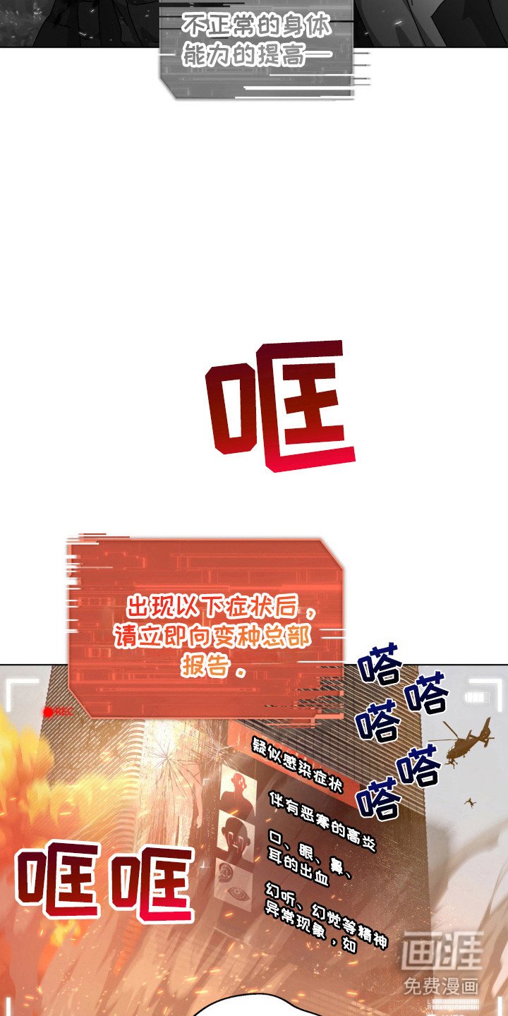 第44章：死亡警报