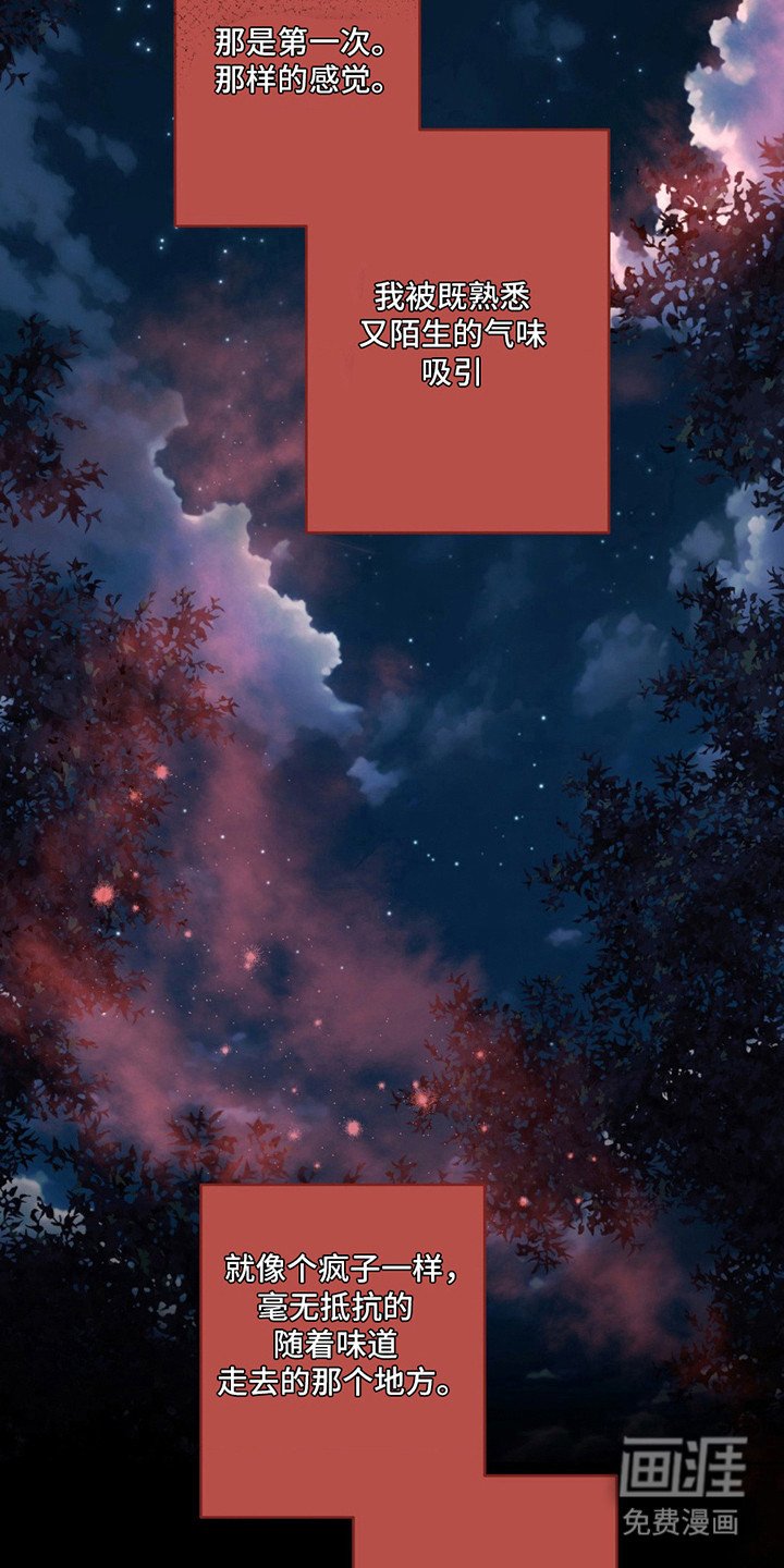 第5章：都毁了