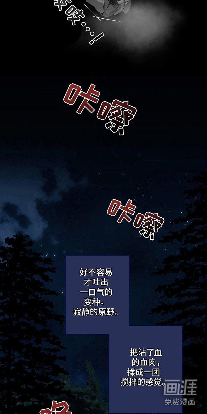 第5章：都毁了