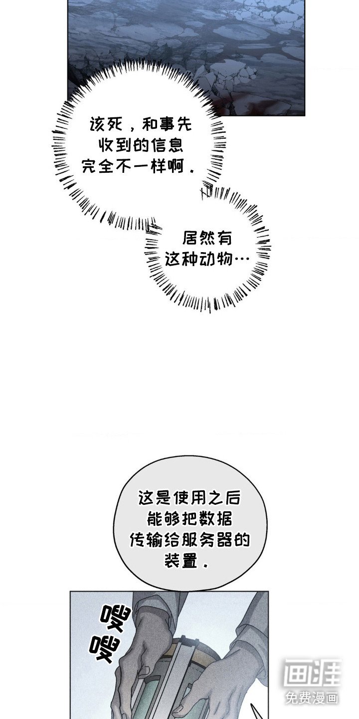 第51章：错误选择