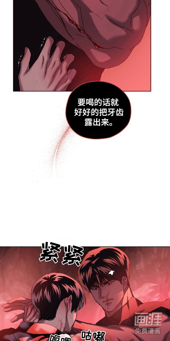 第52章：反击