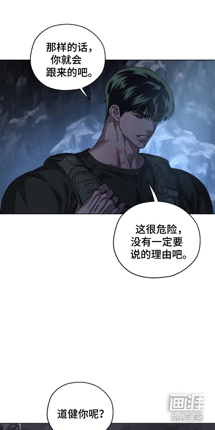 第52章：反击