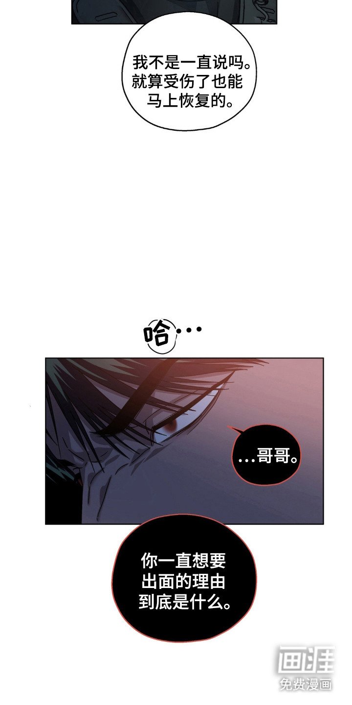 第53章：很多秘密