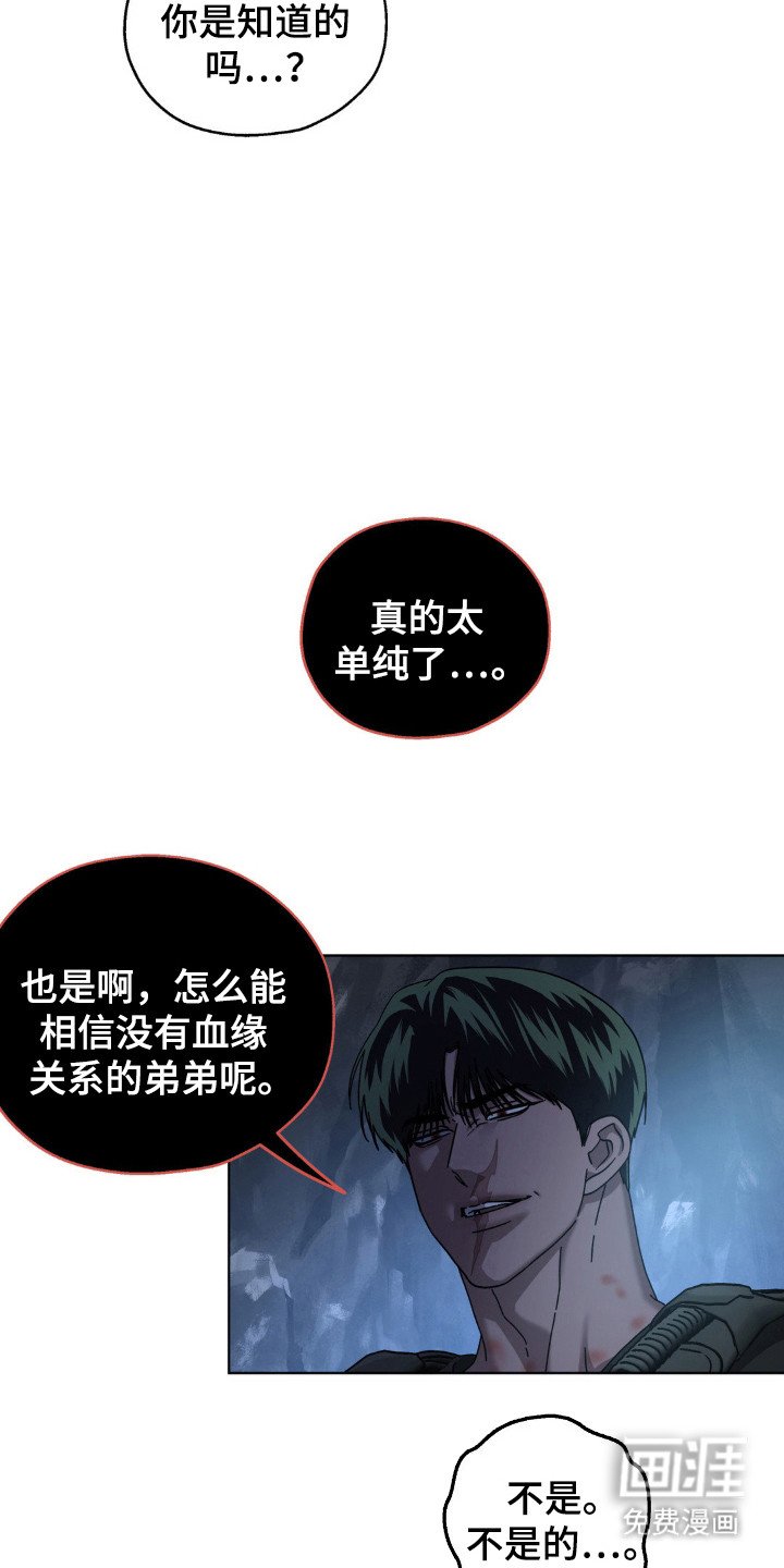 第53章：很多秘密