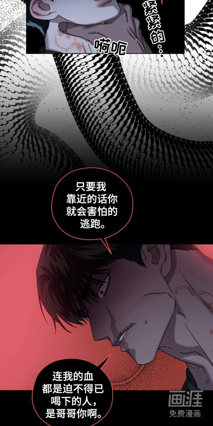 第54章：复仇