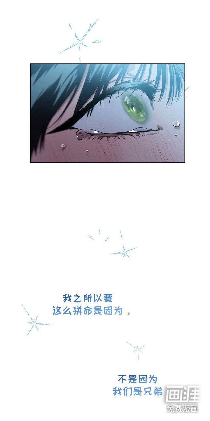 第55章：害怕世界