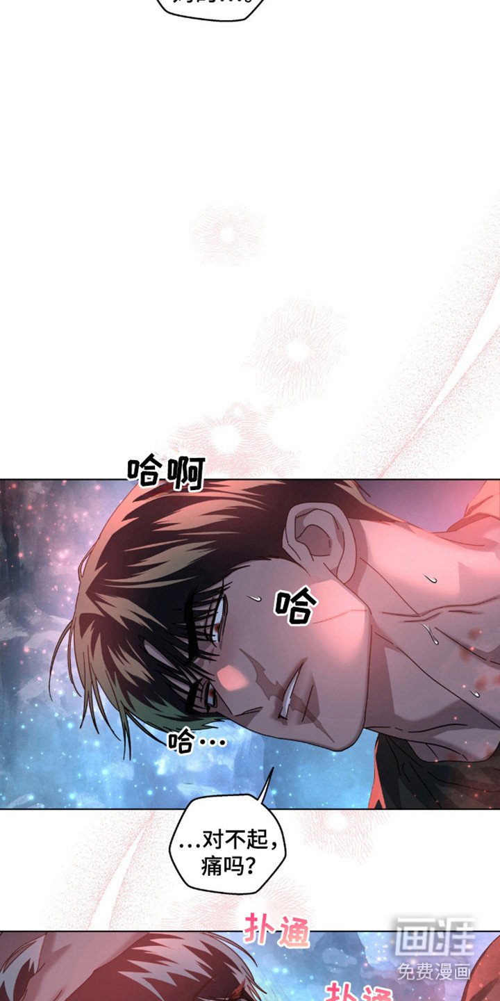 第56章：红灰色