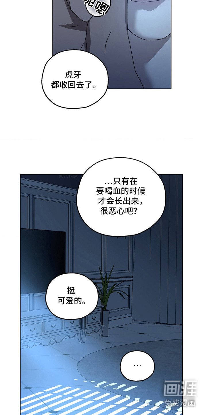 第6章：担心