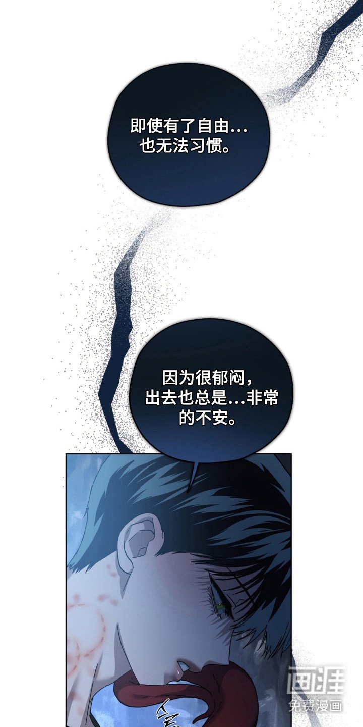 第60章：理想自由