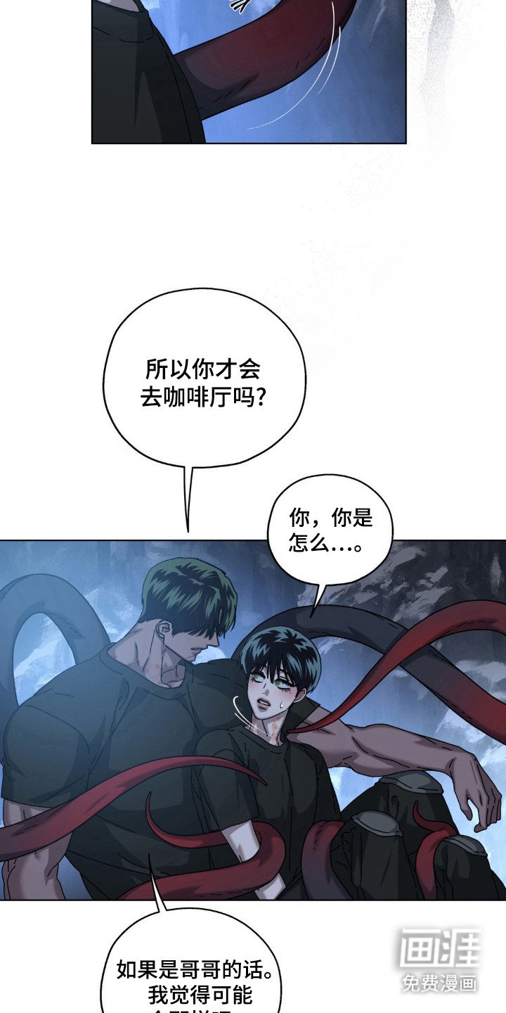 第60章：理想自由