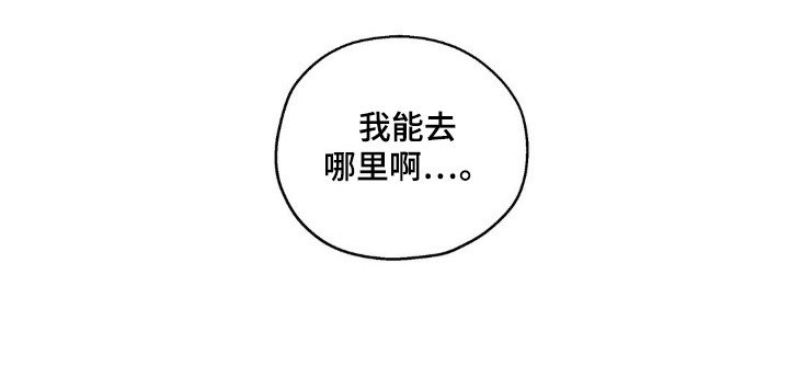 第60章：理想自由