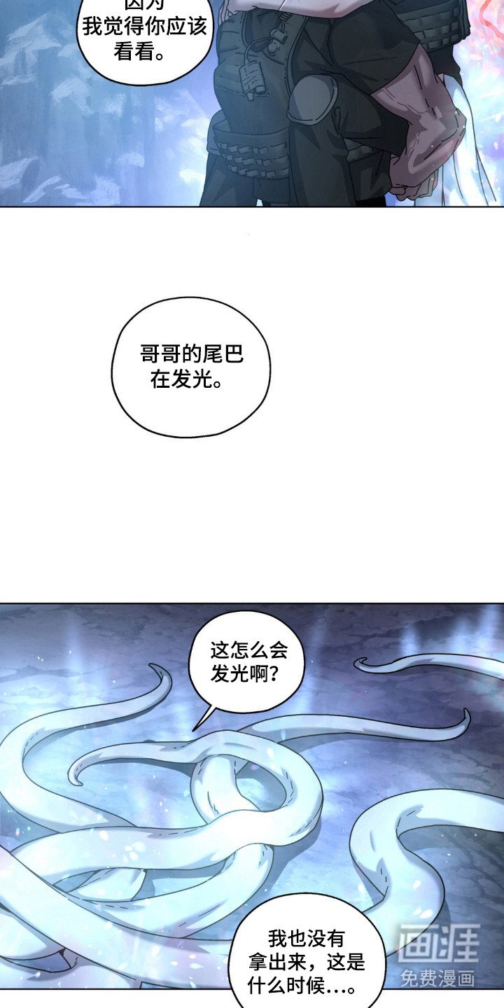 第60章：理想自由