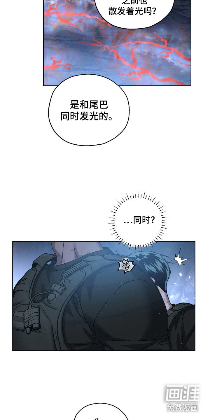 第60章：理想自由