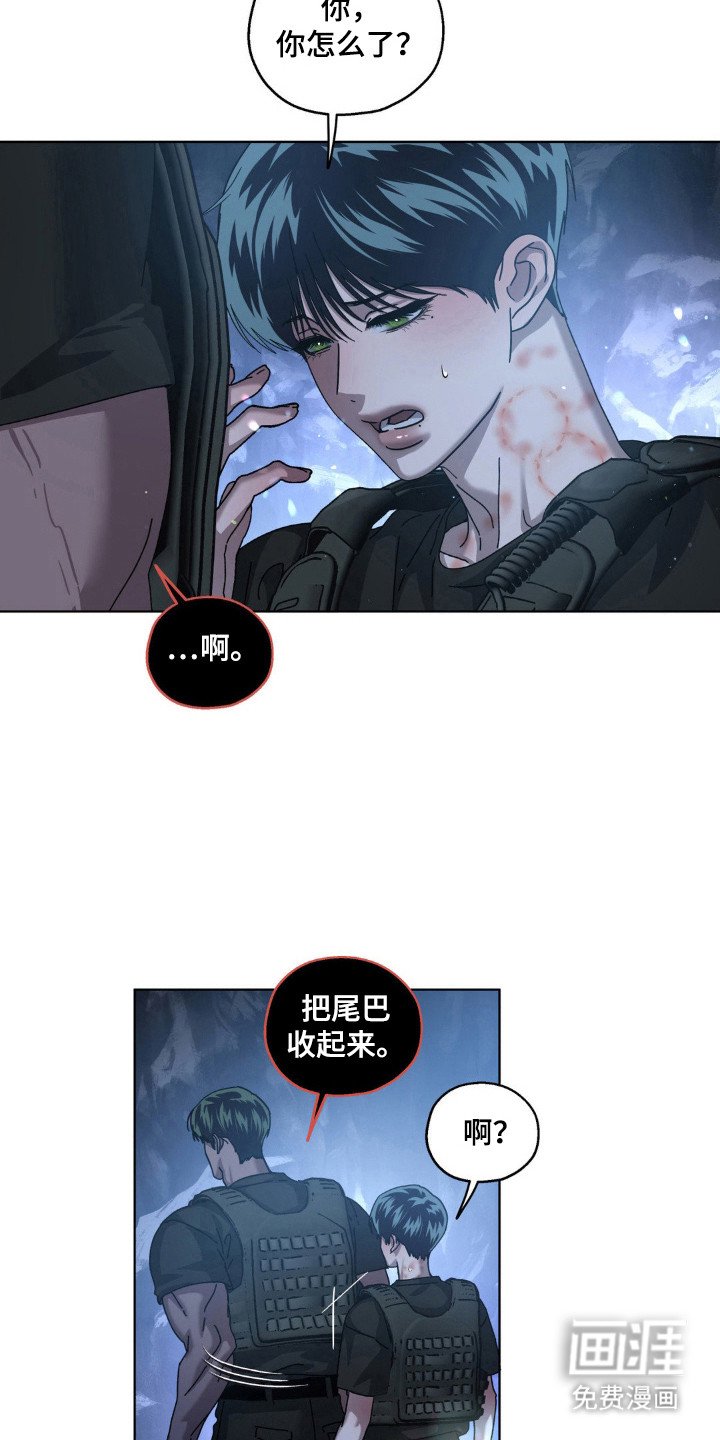 第60章：理想自由