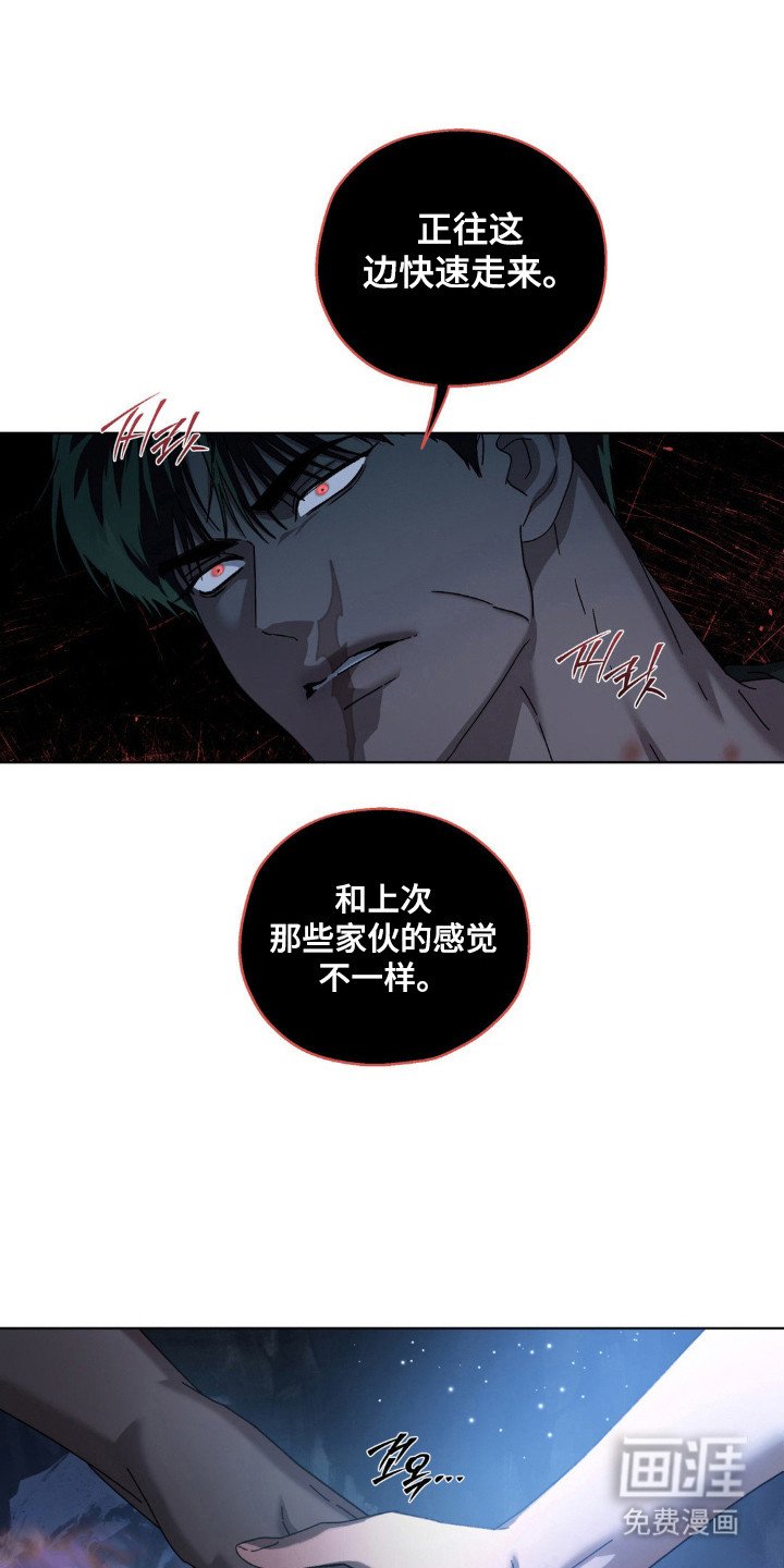 第60章：理想自由