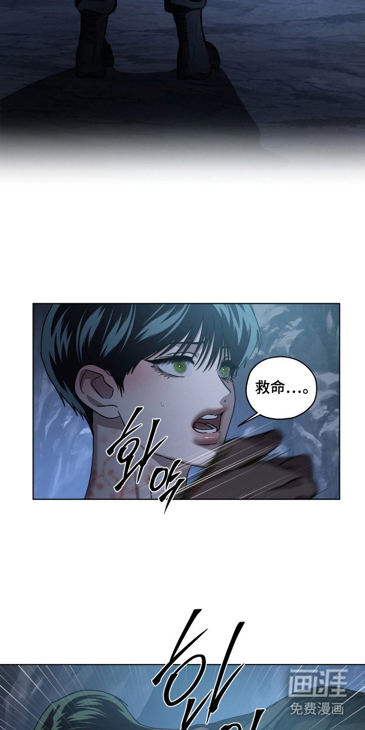 第61章：错觉