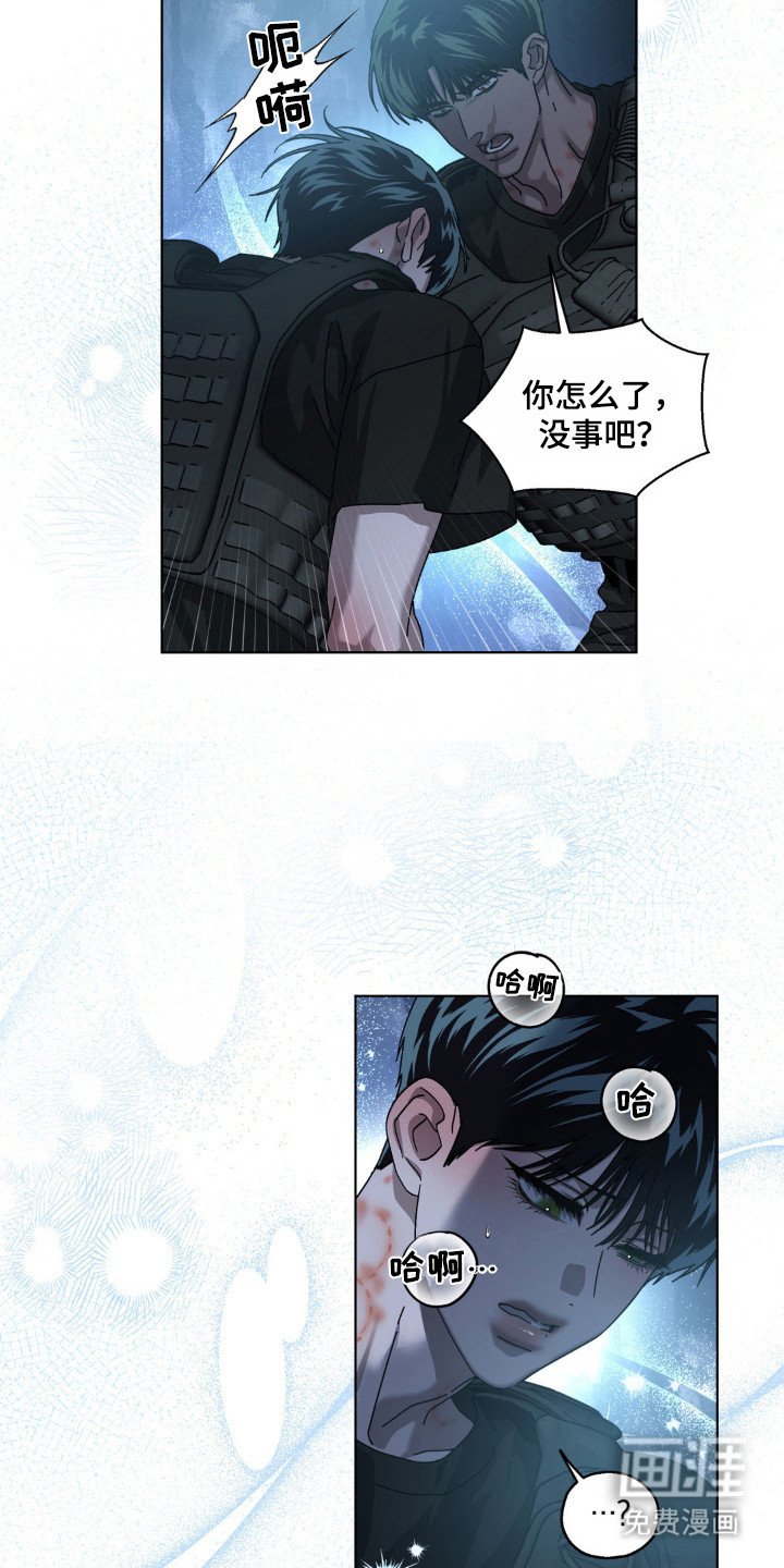 第61章：错觉