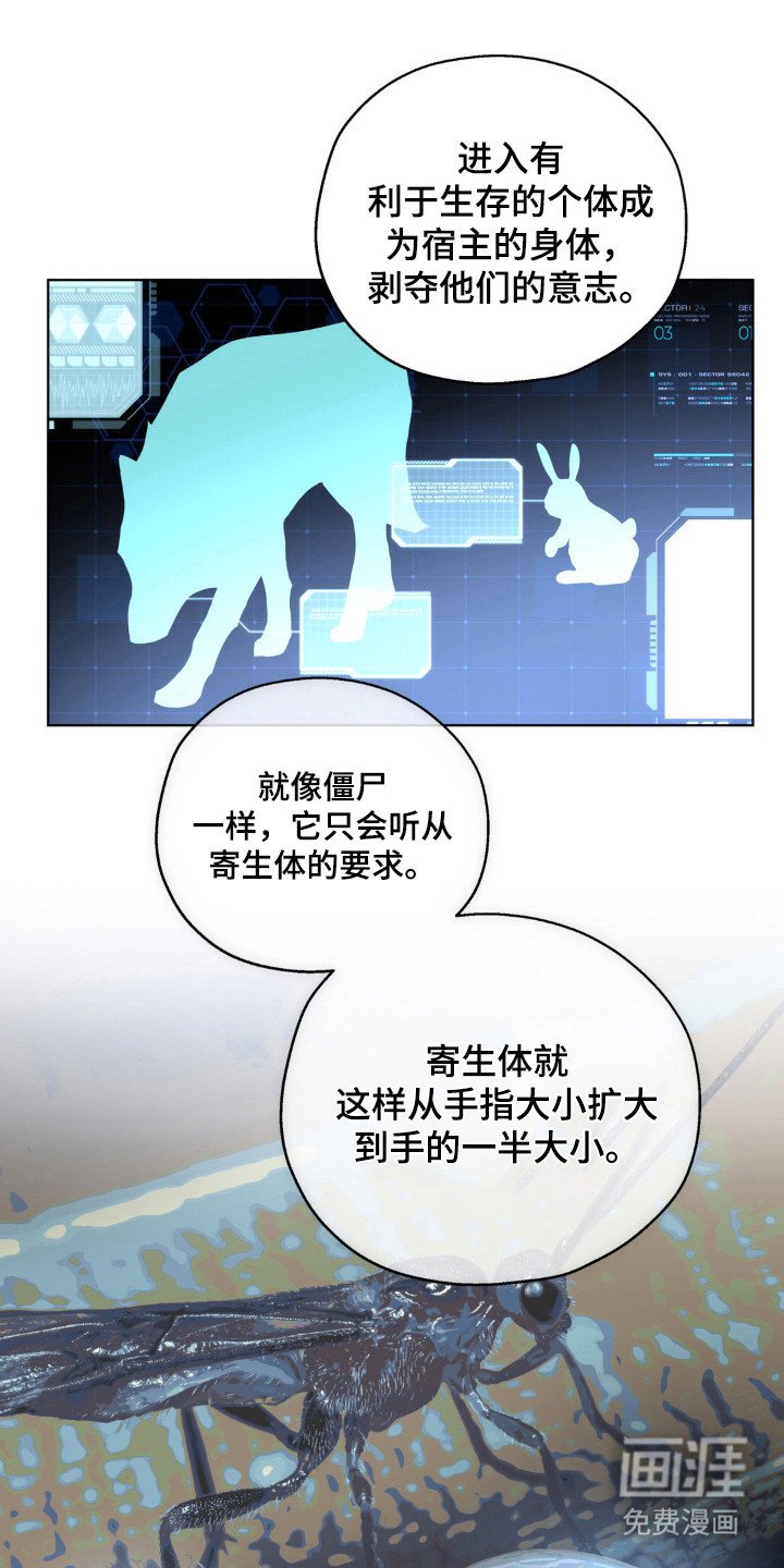 第62章：人体兵器
