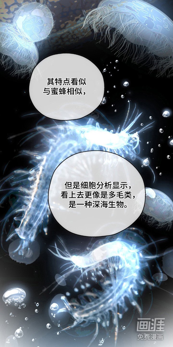 第62章：人体兵器
