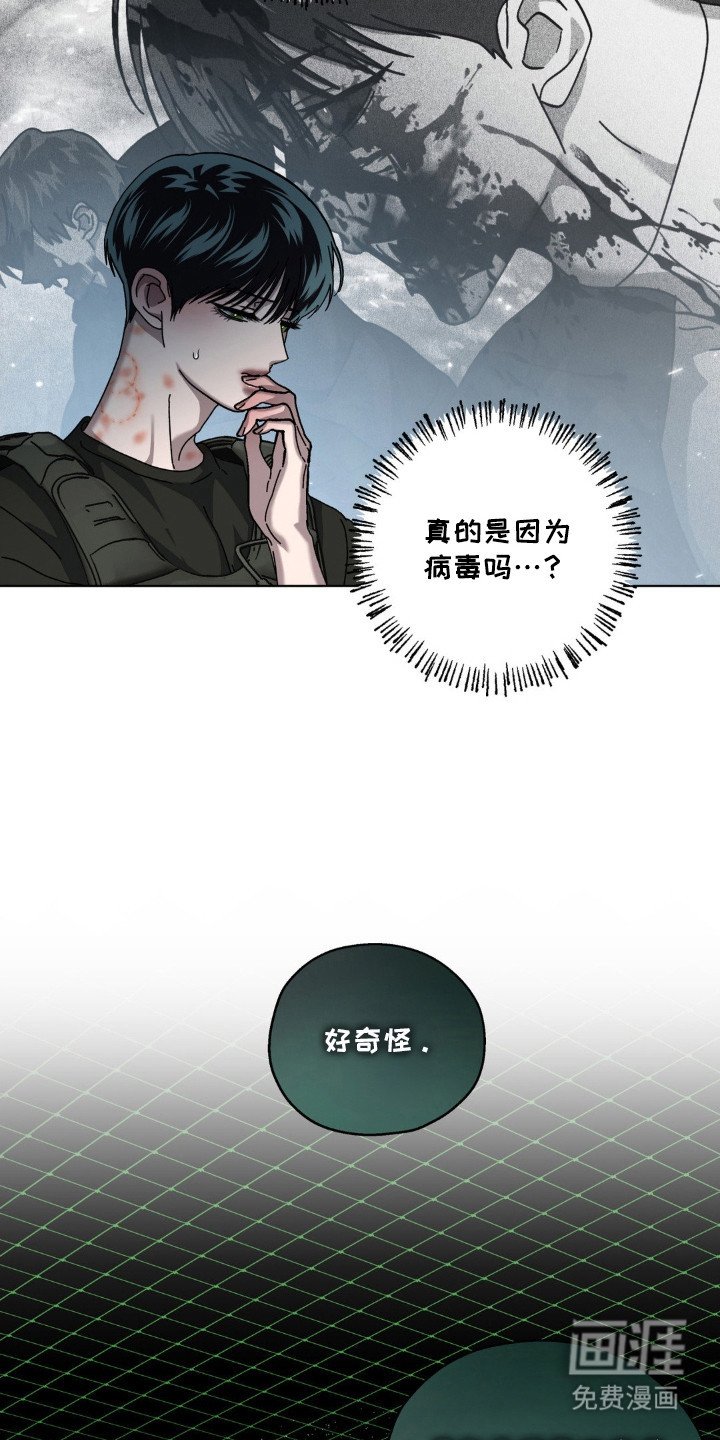 第63章：被欺骗