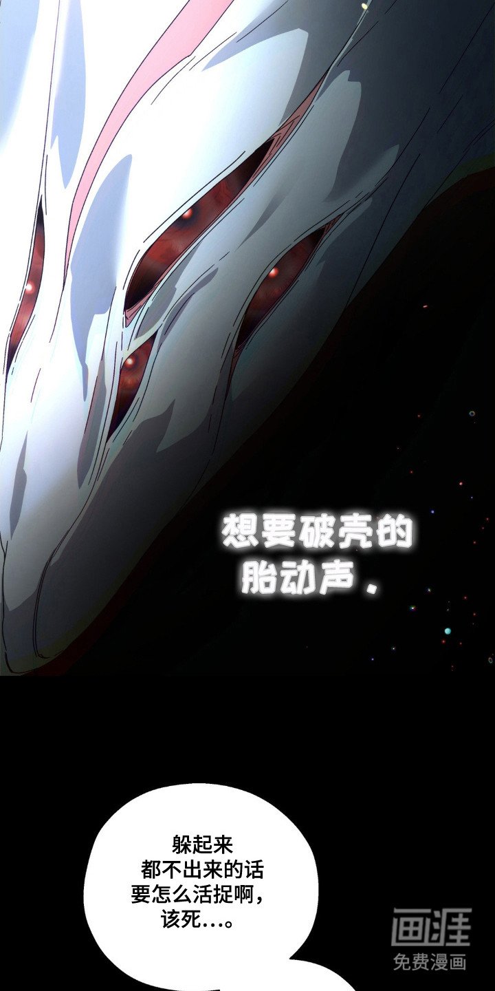 第65章：胎动