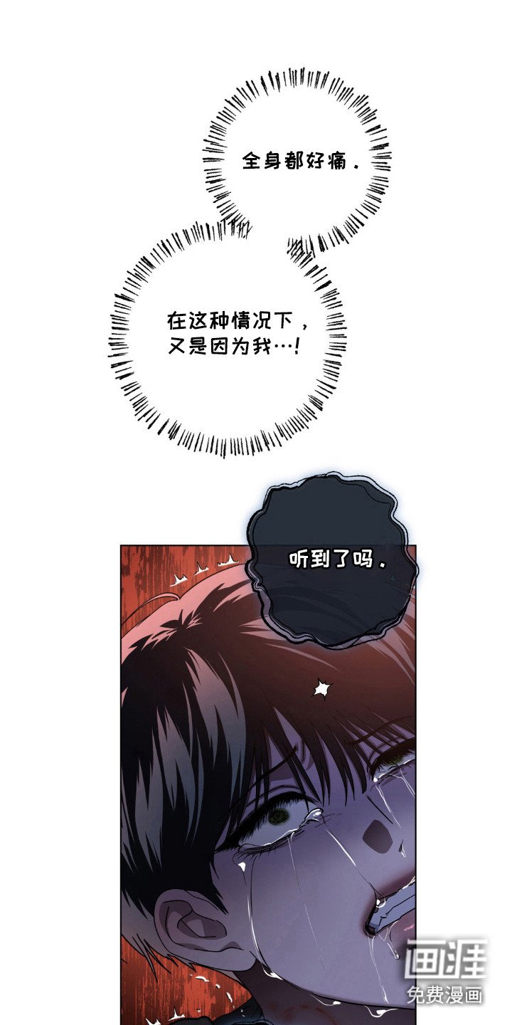 第66章：神秘生物
