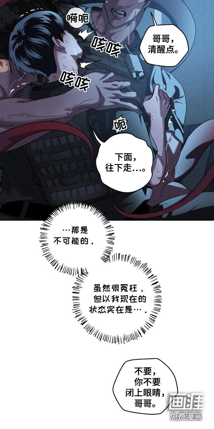 第66章：神秘生物