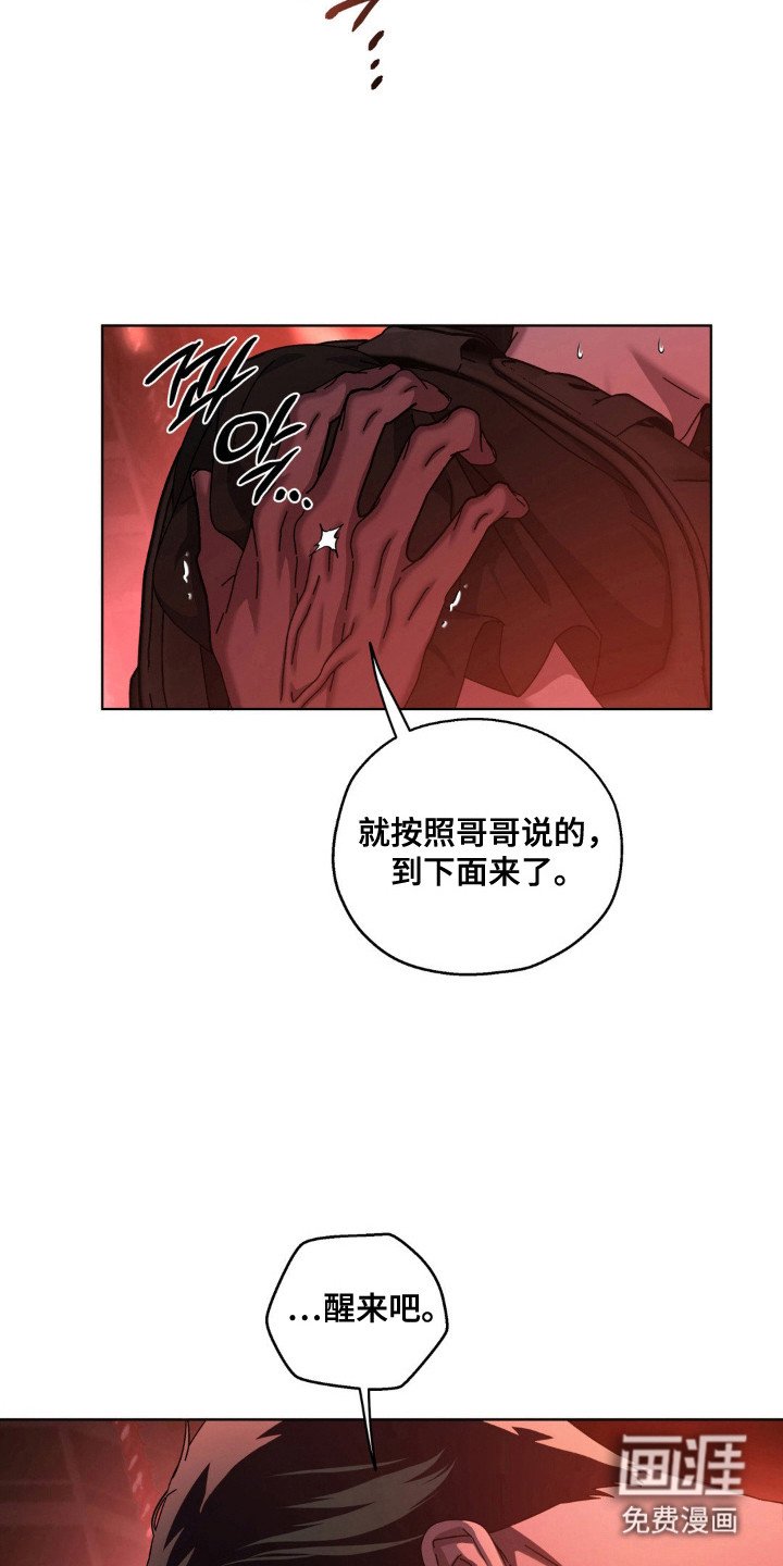 第66章：神秘生物