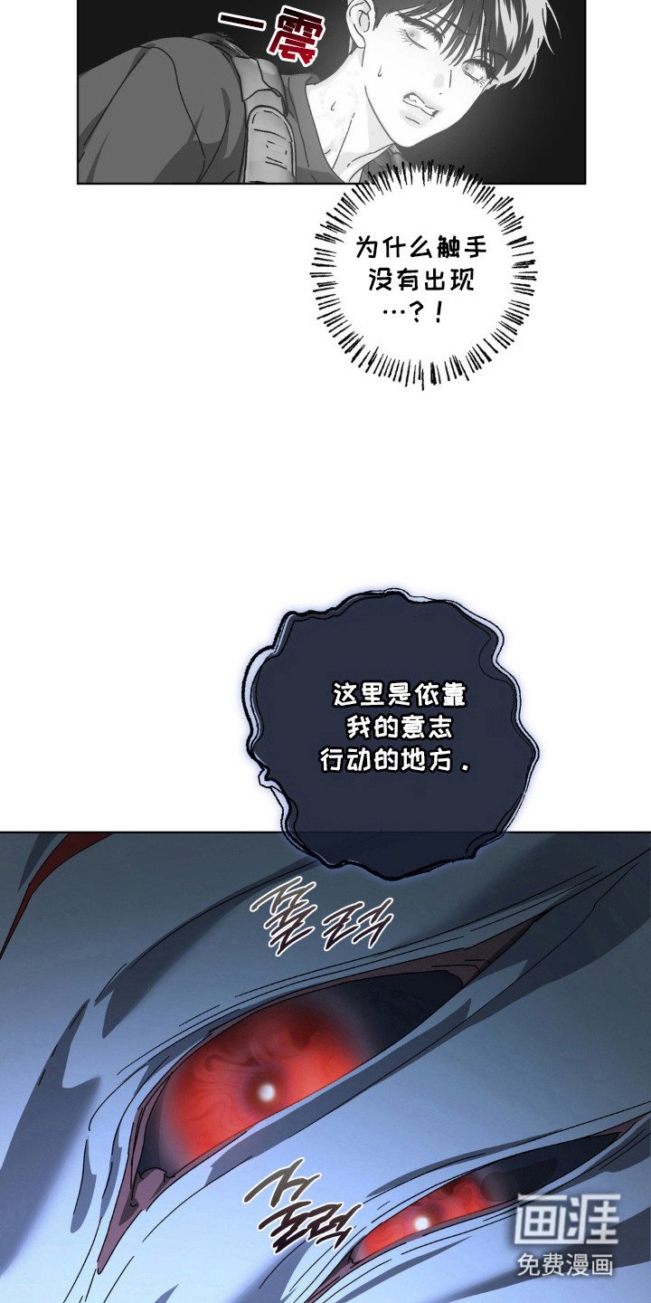 第66章：神秘生物