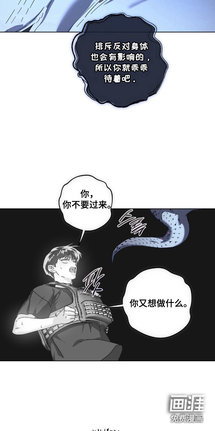 第66章：神秘生物