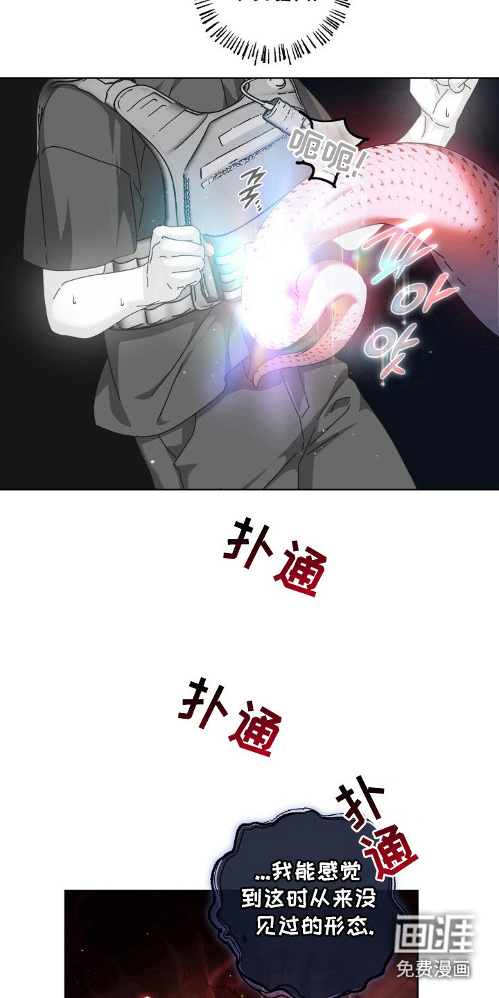 第66章：神秘生物