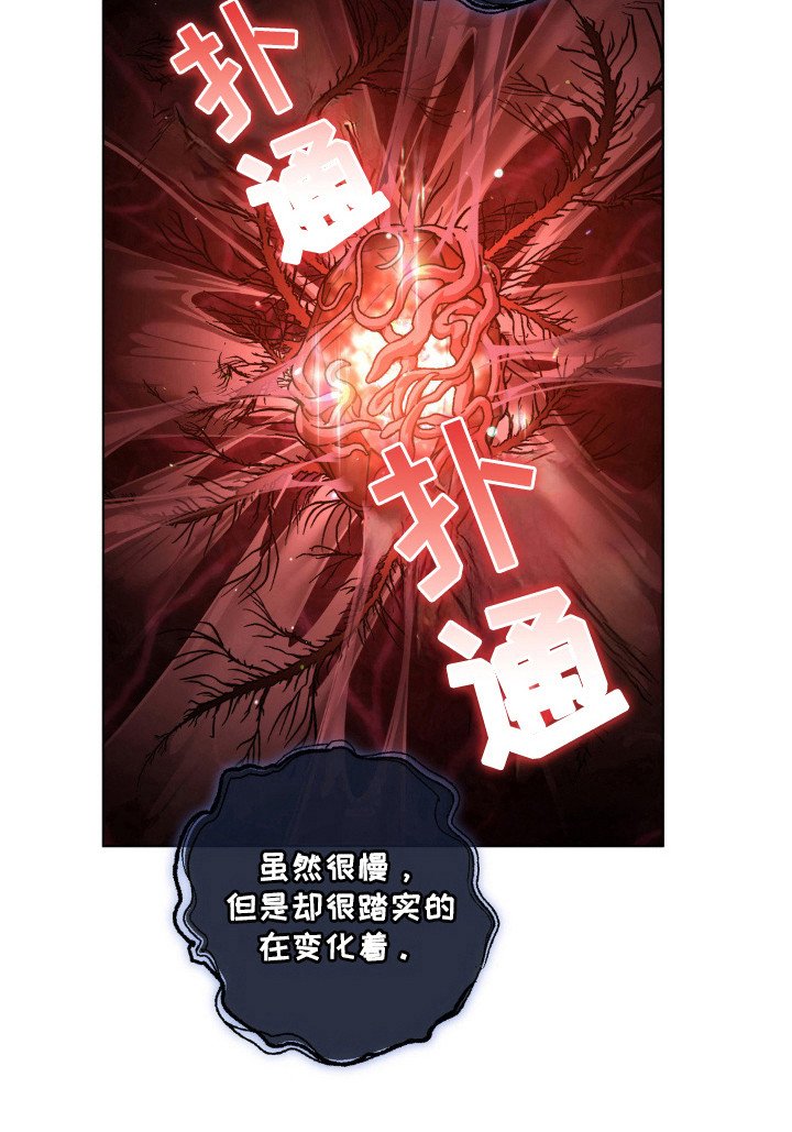 第66章：神秘生物