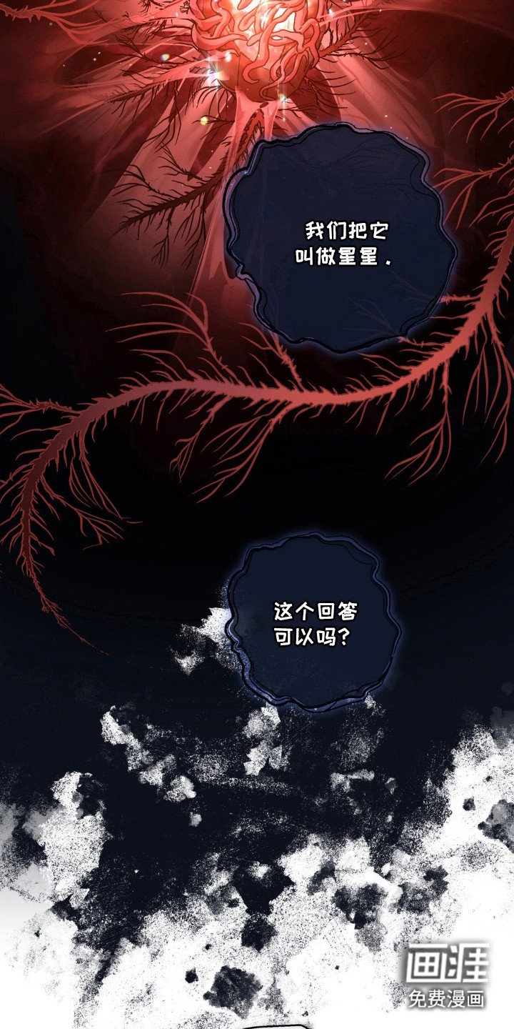 第67章：自称星星