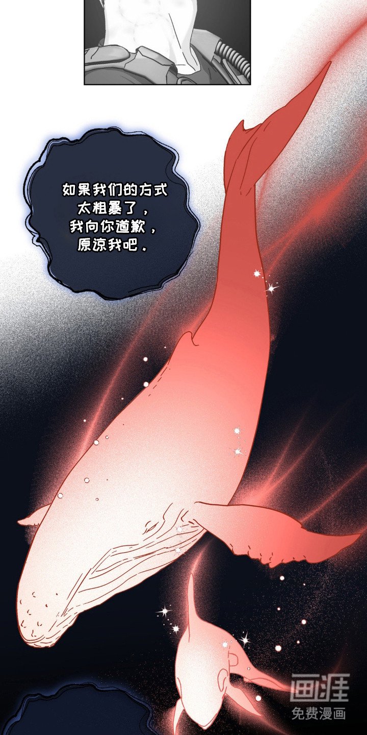 第67章：自称星星