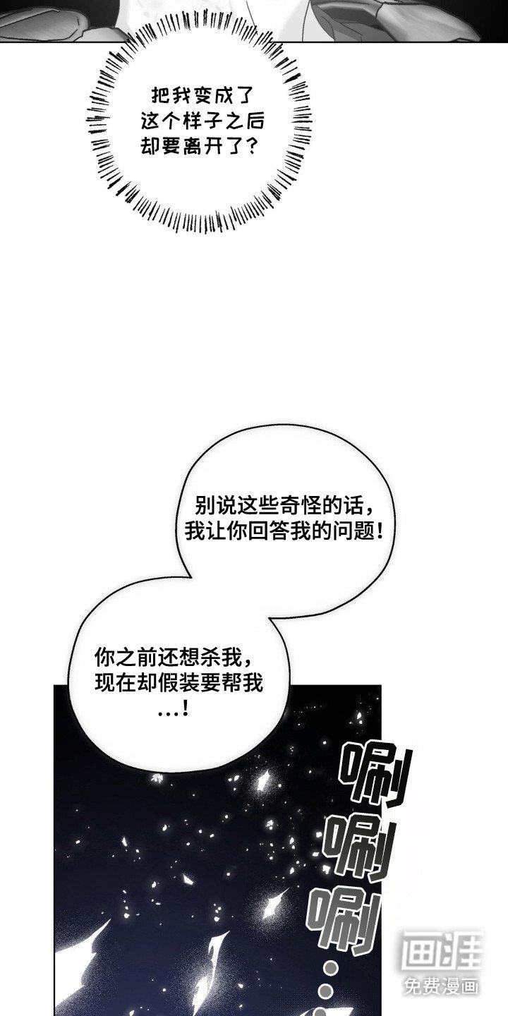 第67章：自称星星