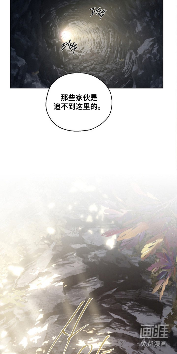 第69章：追捕（第一季完结）