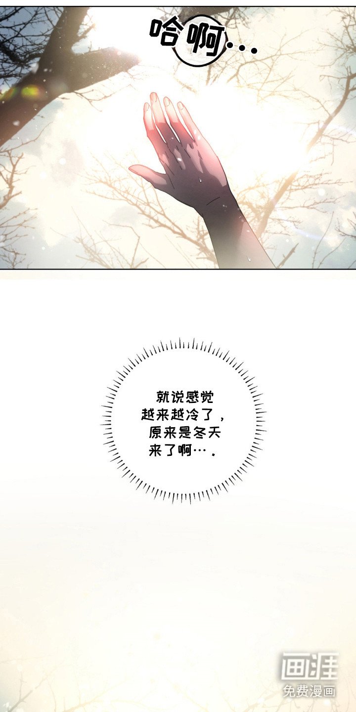 第69章：追捕（第一季完结）