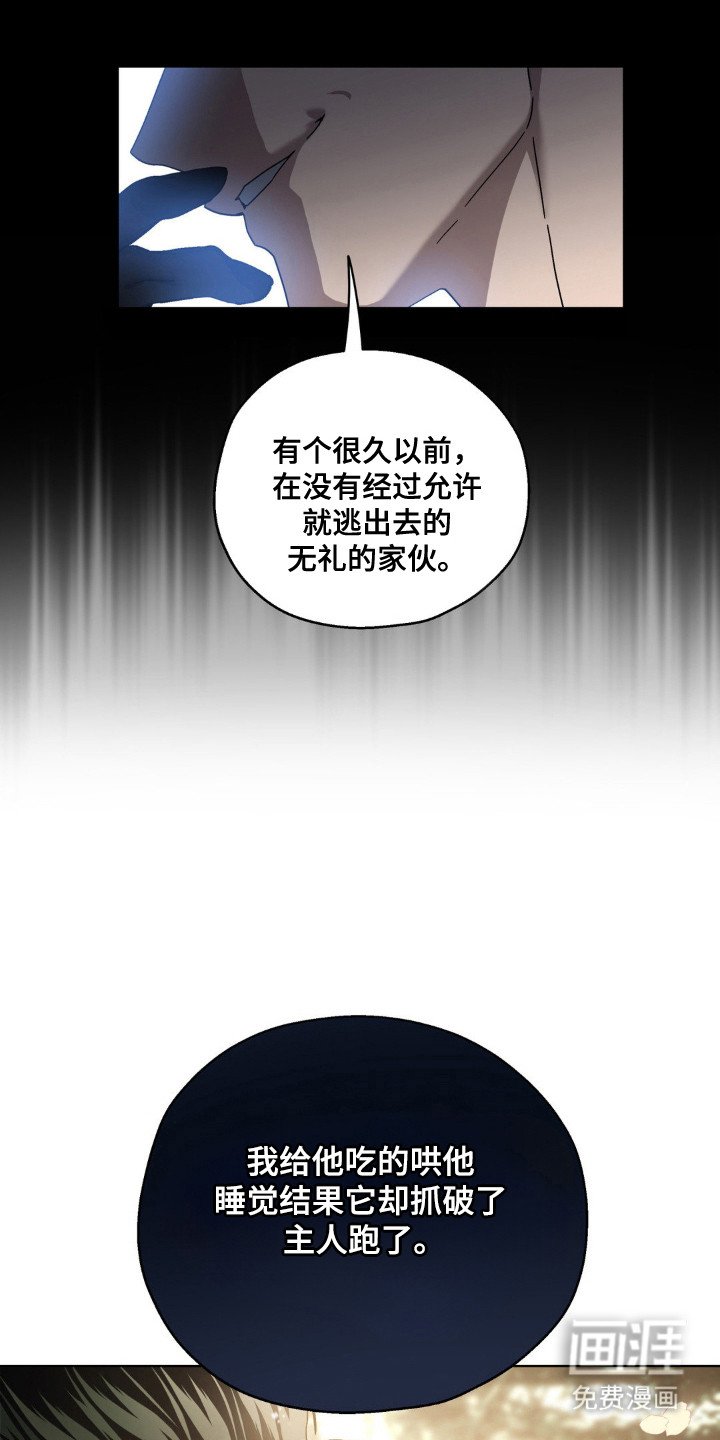 第69章：追捕（第一季完结）