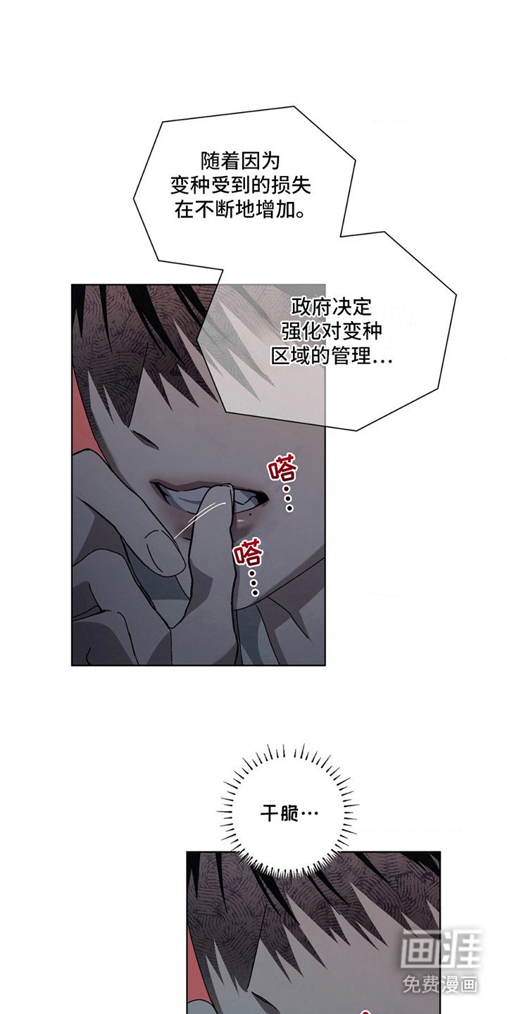 第7章： 新闻