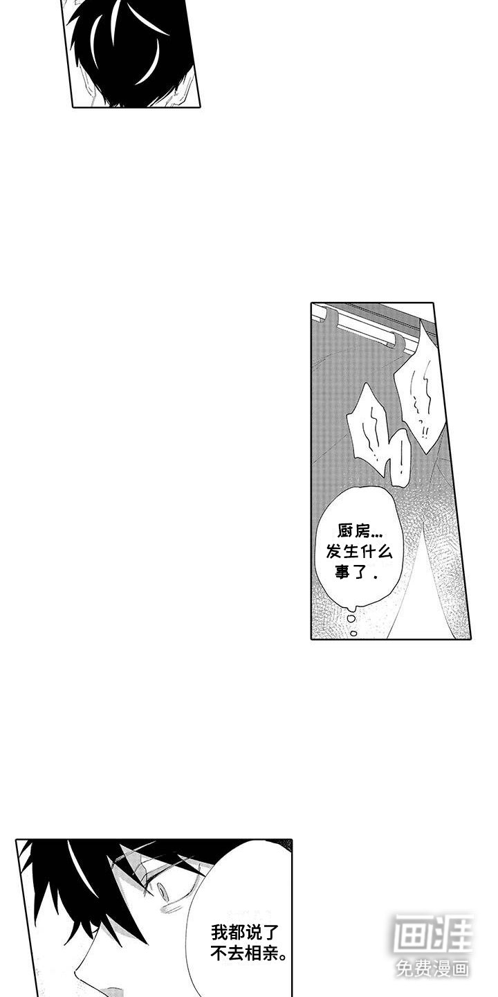 第15章：相亲