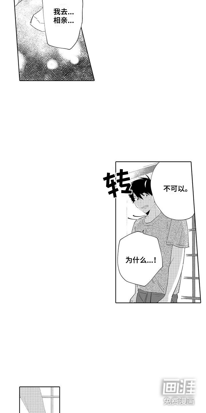 第15章：相亲