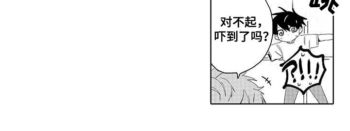 第18章：第一次交往