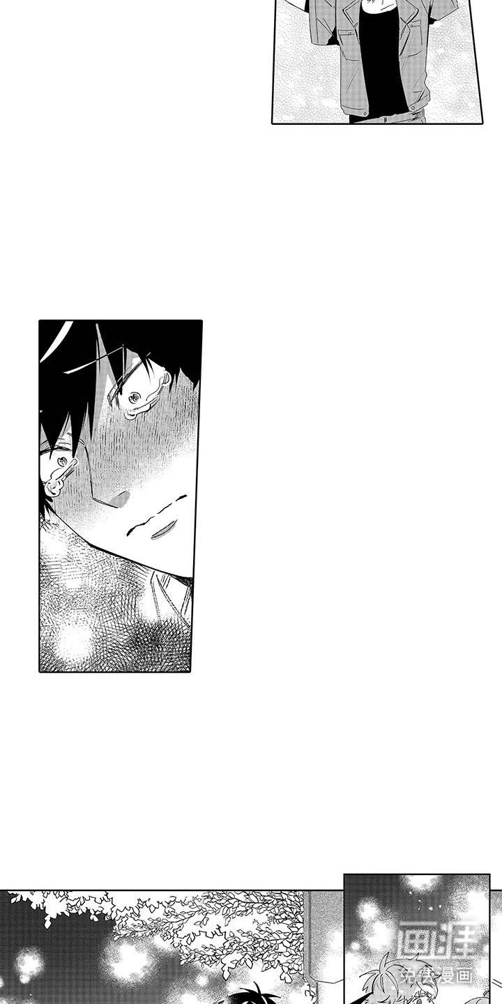 第20章：烟花