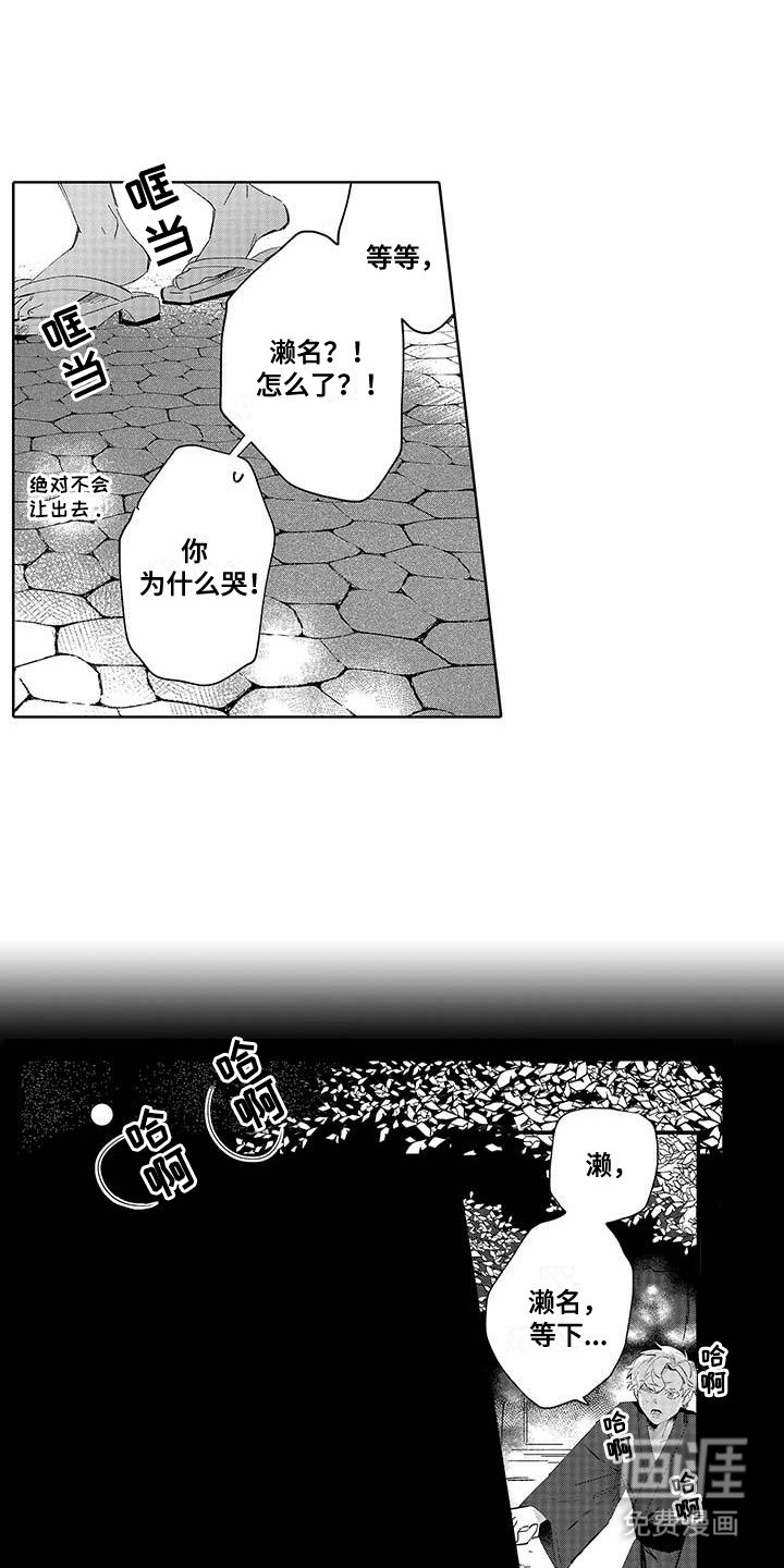第20章：烟花