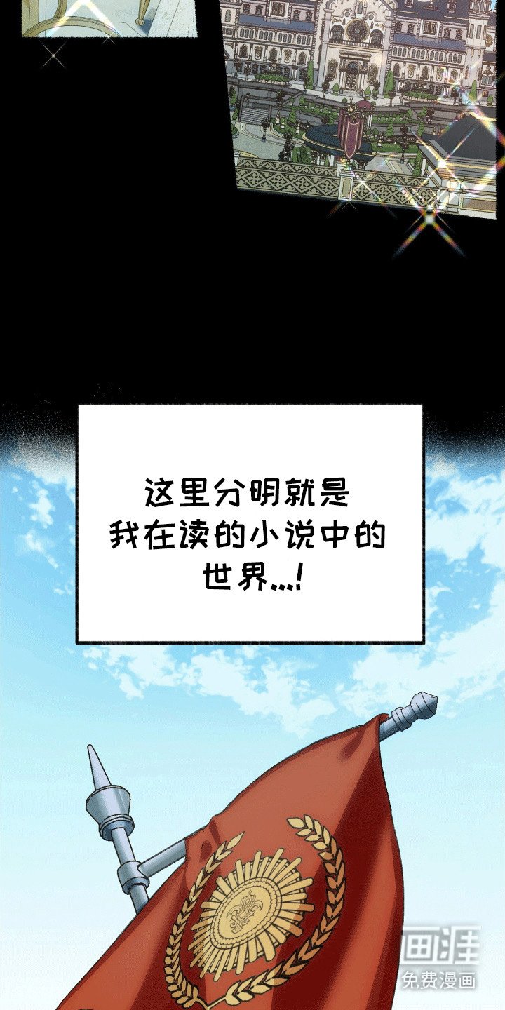 第1章：变成猫