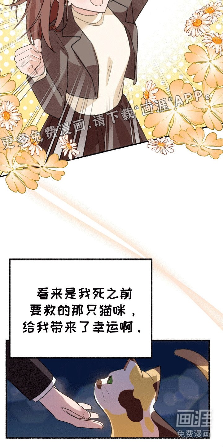 第1章：变成猫