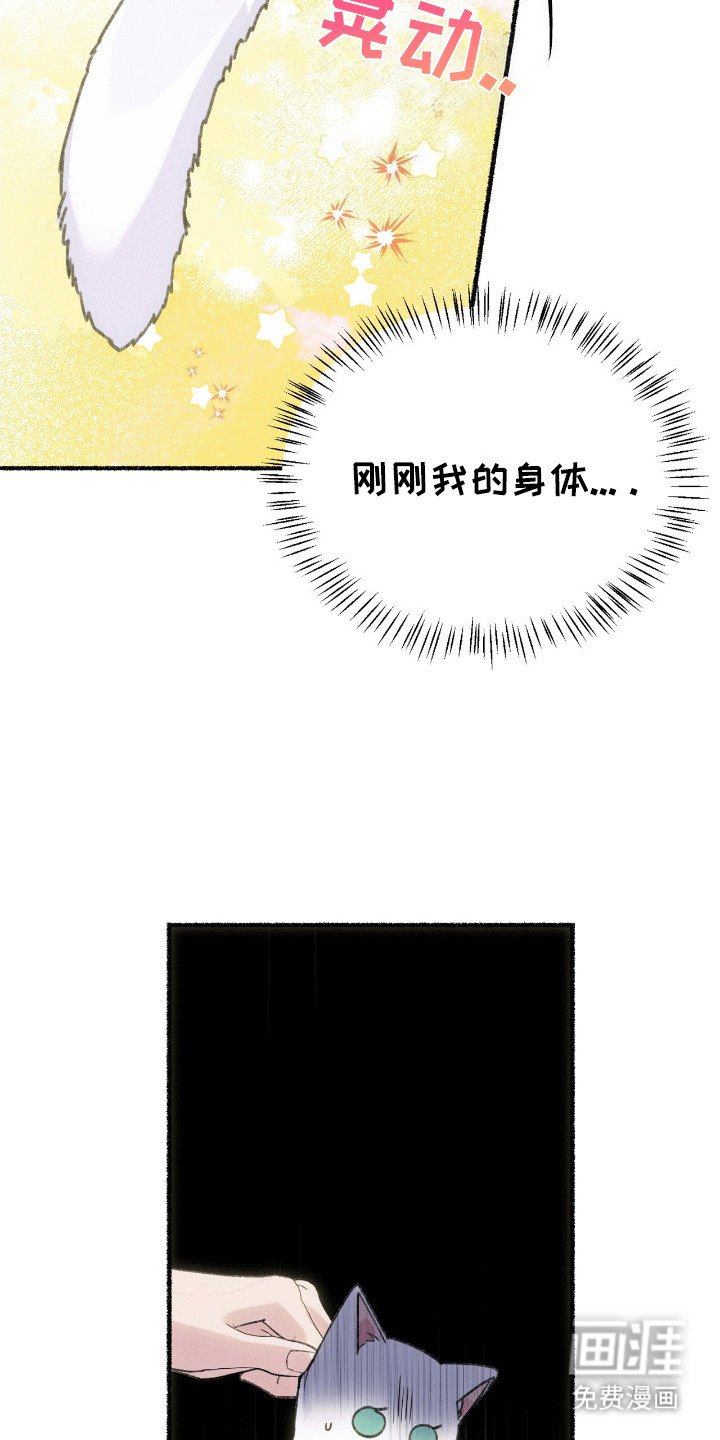 第1章：变成猫