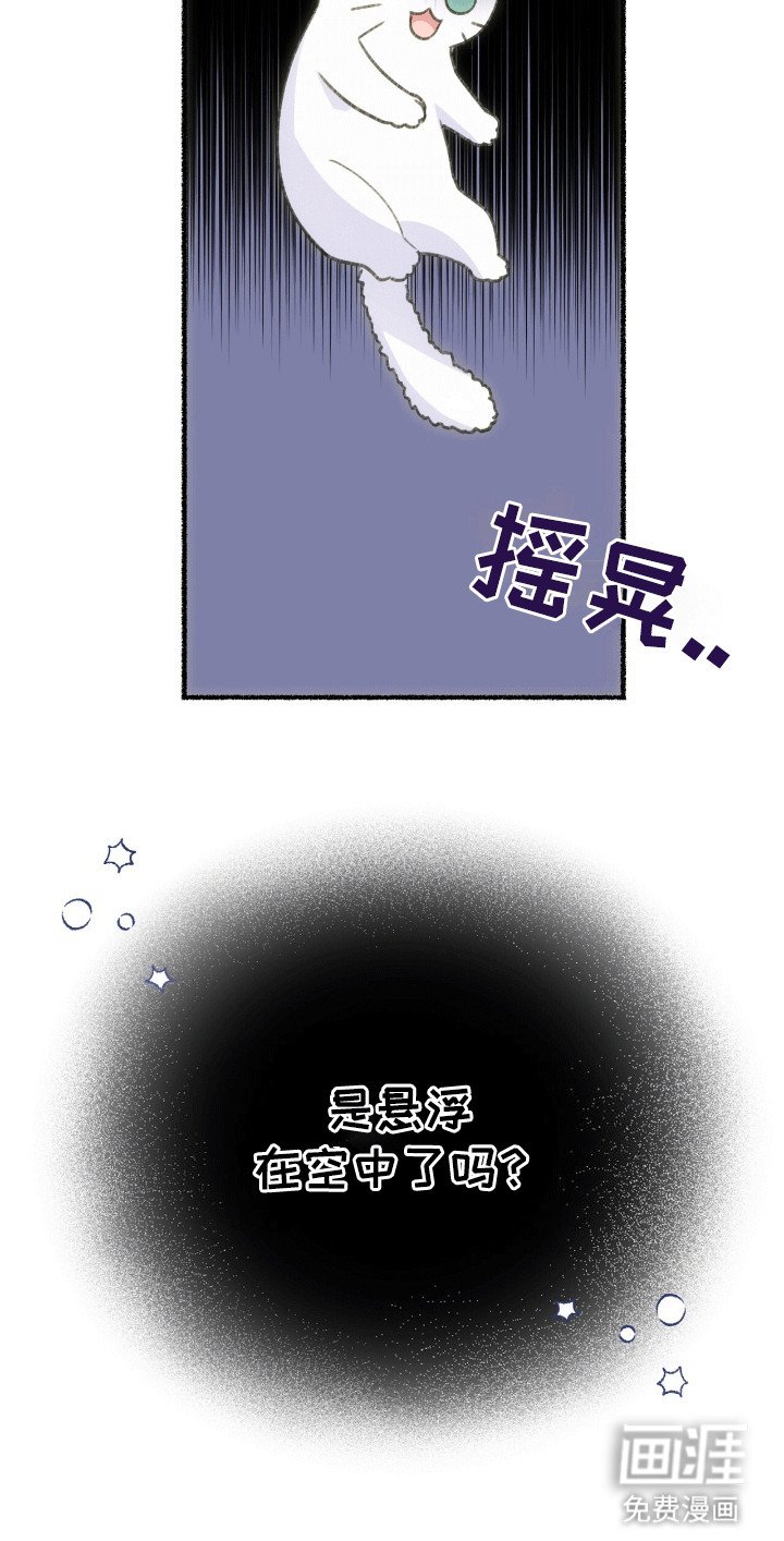 第1章：变成猫
